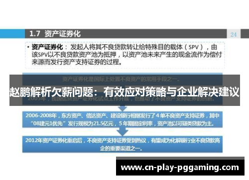 赵鹏解析欠薪问题：有效应对策略与企业解决建议