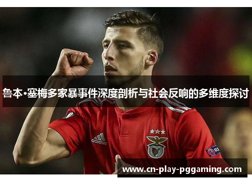鲁本·塞梅多家暴事件深度剖析与社会反响的多维度探讨
