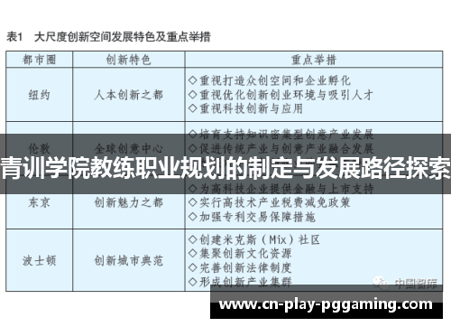 青训学院教练职业规划的制定与发展路径探索