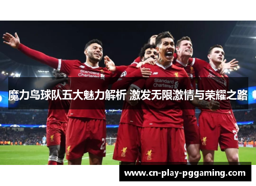 魔力鸟球队五大魅力解析 激发无限激情与荣耀之路