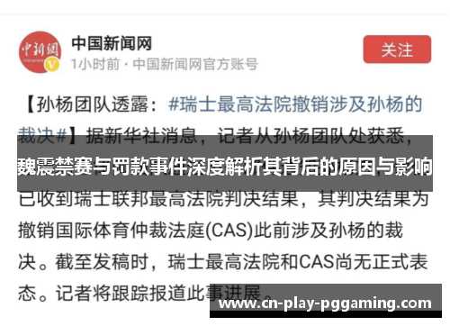 魏震禁赛与罚款事件深度解析其背后的原因与影响